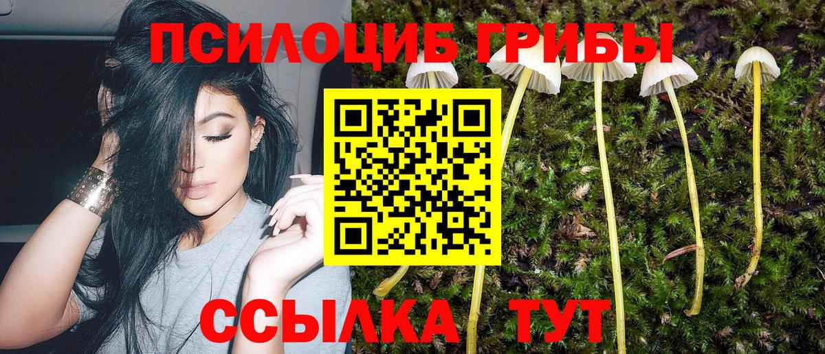 где купить наркоту  Псилоцибиновые грибы мухоморы  Лабинск  Вход с VPN  Галлюциногенные грибы мухоморы 